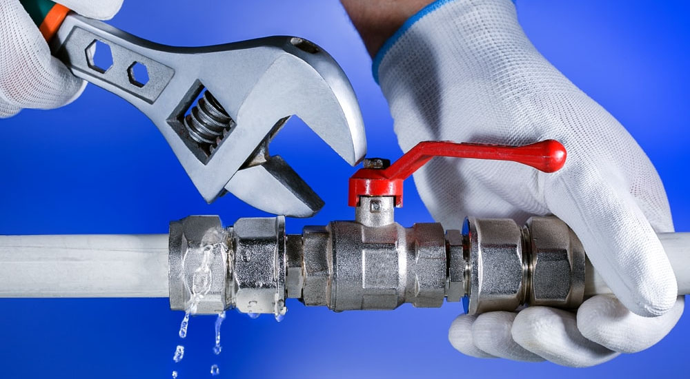 Signs You Need Professional Plumbing Services